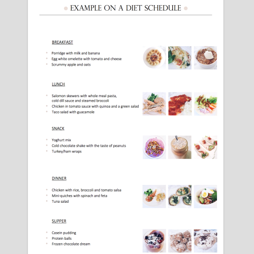 Meal Guide - Image 3