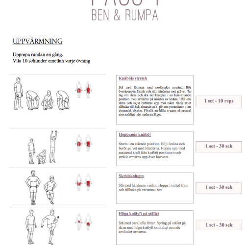 12 Veckors Träningsprogram - Hemma - Image 3